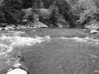 43617CrBw - Kayaking the Rouge River and 'shooting rapids' with Beth.JPG